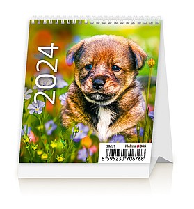 Mini Puppies 2024, stolní kalendář - reklamní kalendáře